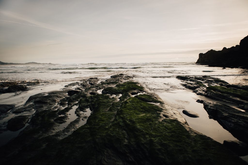 oregon-coast-elopement-amanda-sutton-photography (19)